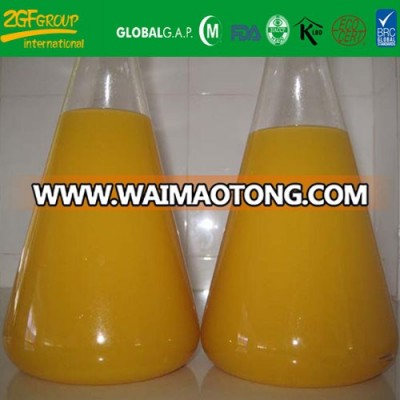 IQF frozen pineapple concentrated juice