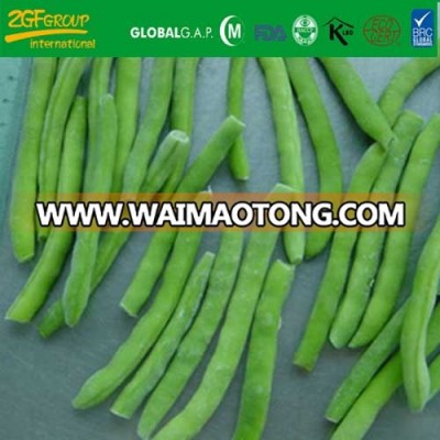 High Quality IQF price of green bean