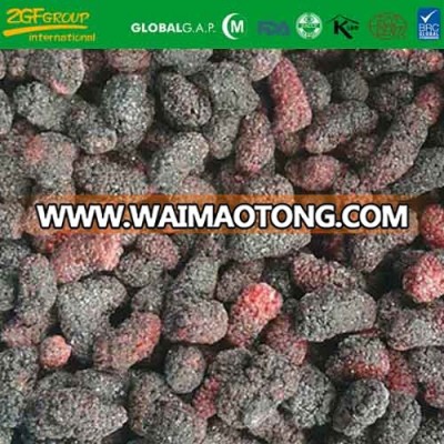 IQF frozen natural mulberry