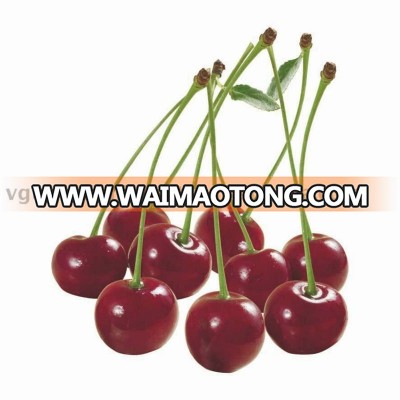 Georgia IQF Sour Cherry Frozen Fruit