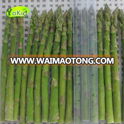 Sale Low Price IQF 2017 New Harvest Frozen Green Asparagus