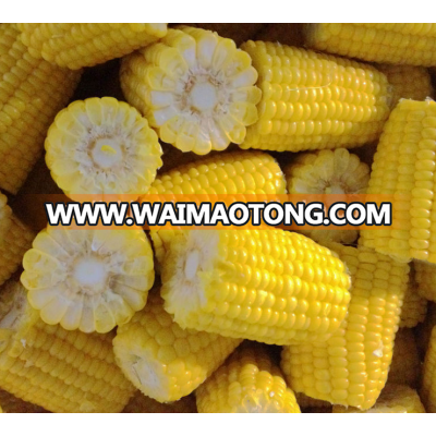 Iqf frozen sweet corn /fresh sweet corn