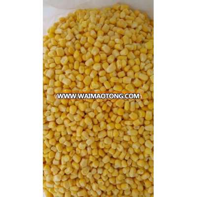 IQF frozen sweet corn kernels,Corn Cob