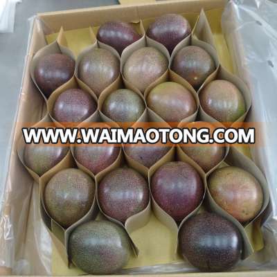 Fresh Passion Fruit For Sales