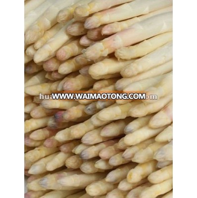 frozen white asparagus tips