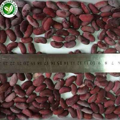 Export cheap import price specification frozen red kidney beans for sale