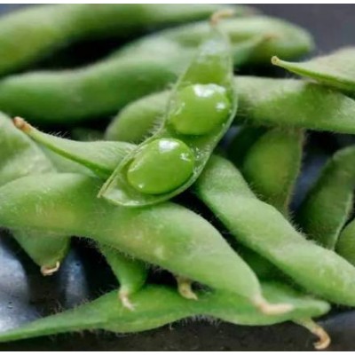 HACCP Certified IQF Shelled Edamame In Pod Frozen Soybean