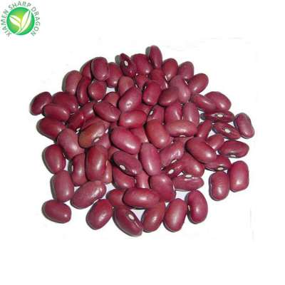 IQF Import market price per ton product frozen red kidney beans for buyers types